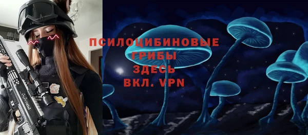 apvp Бородино