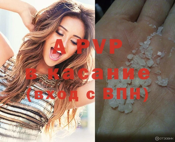 apvp Бородино
