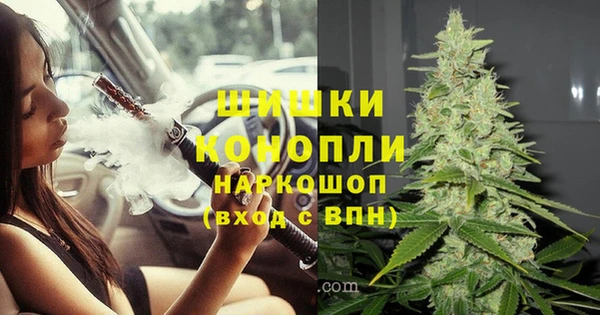 spice Бронницы