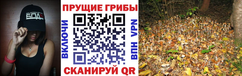 Псилоцибиновые грибы MAGIC MUSHROOMS  Сычёвка 